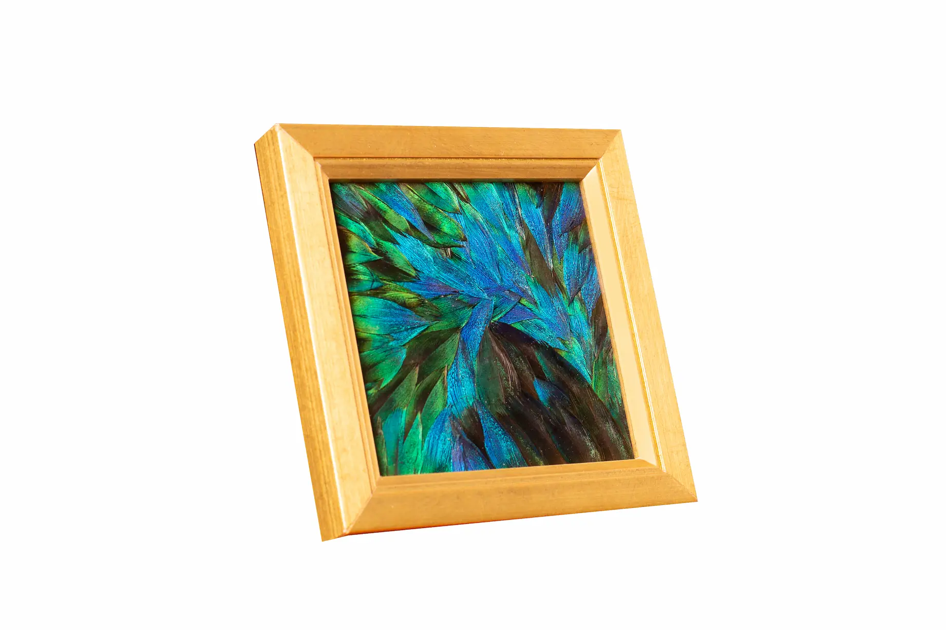 Tableau en plumes de PAON Bleu et Bleu-Vert, fabriqué artisanalement dans mon atelier