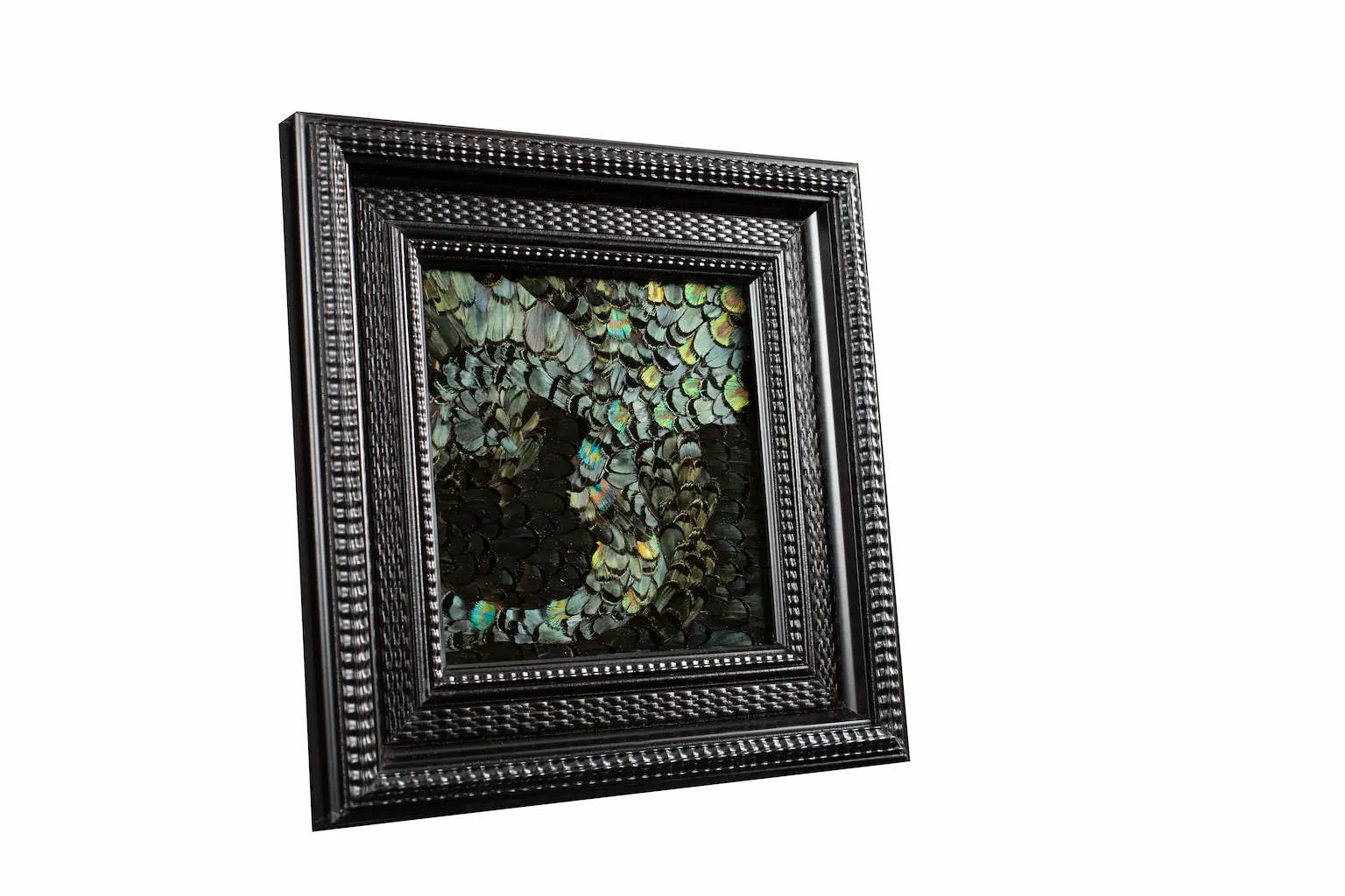Tableau en plumes de faisan LADY AMHERST vert et PAON vert, fabriqué artisanalement dans mon atelier