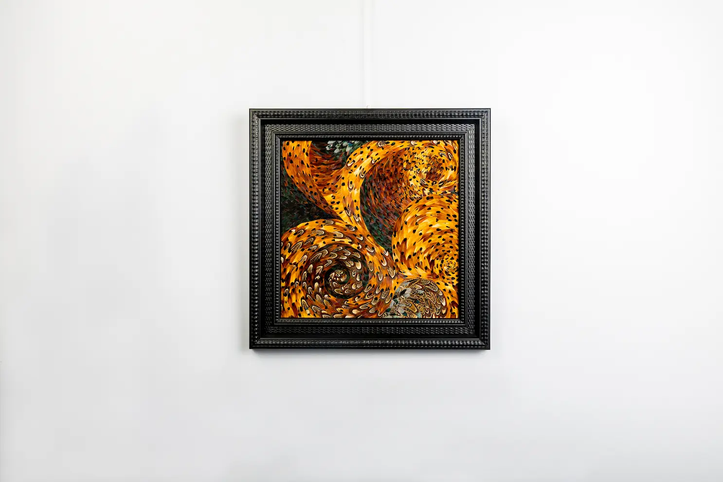 Feather framing featuring brown COLCHIS pheasant feathers with patterns
