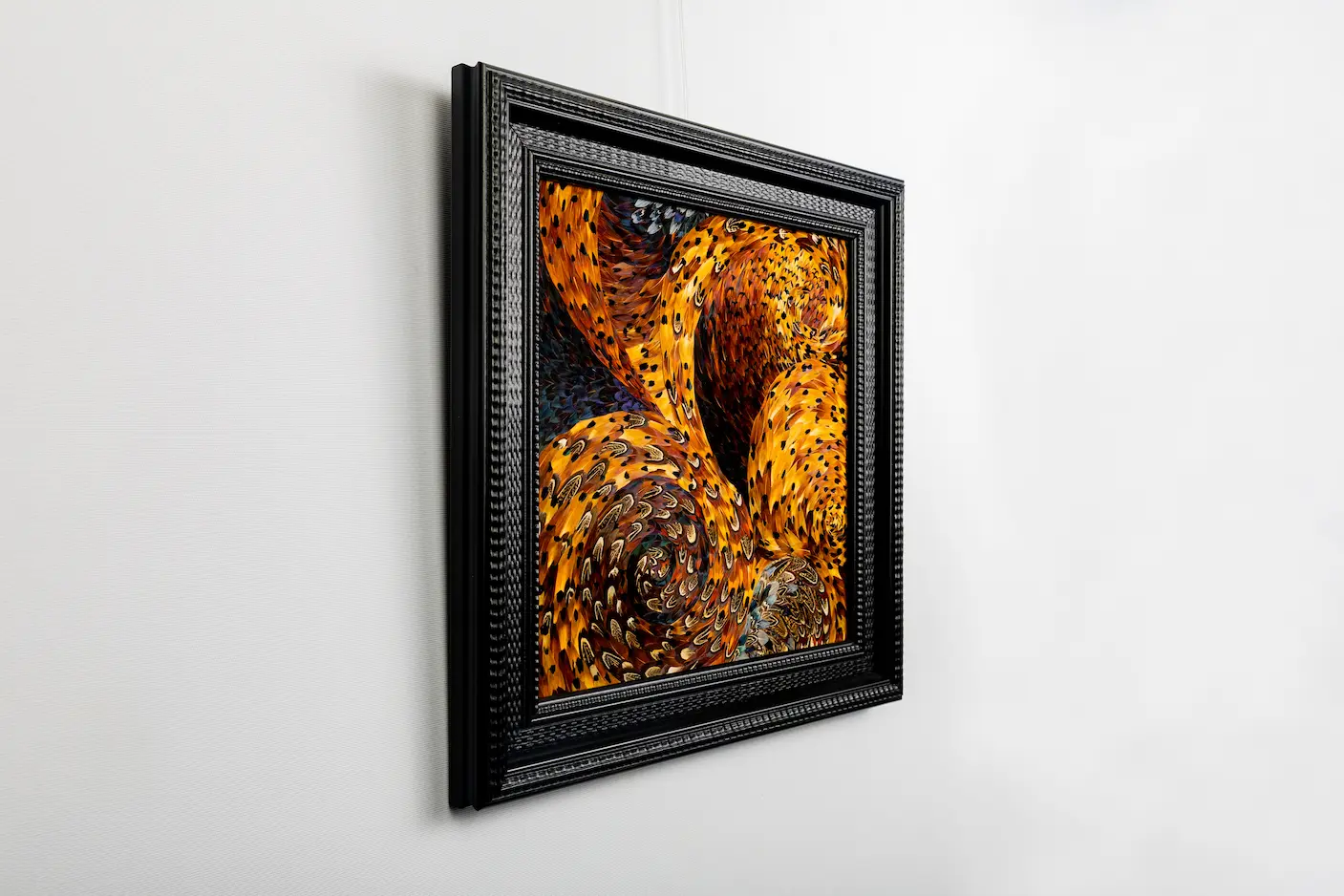 Feather framing featuring brown COLCHIS pheasant feathers with patterns