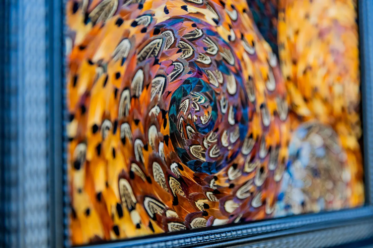 Feather framing featuring brown COLCHIS pheasant feathers with patterns